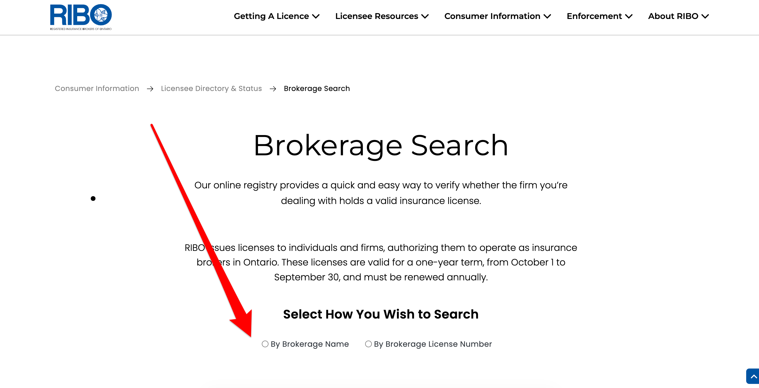 RIBO Brokerage Search page on ribo.com