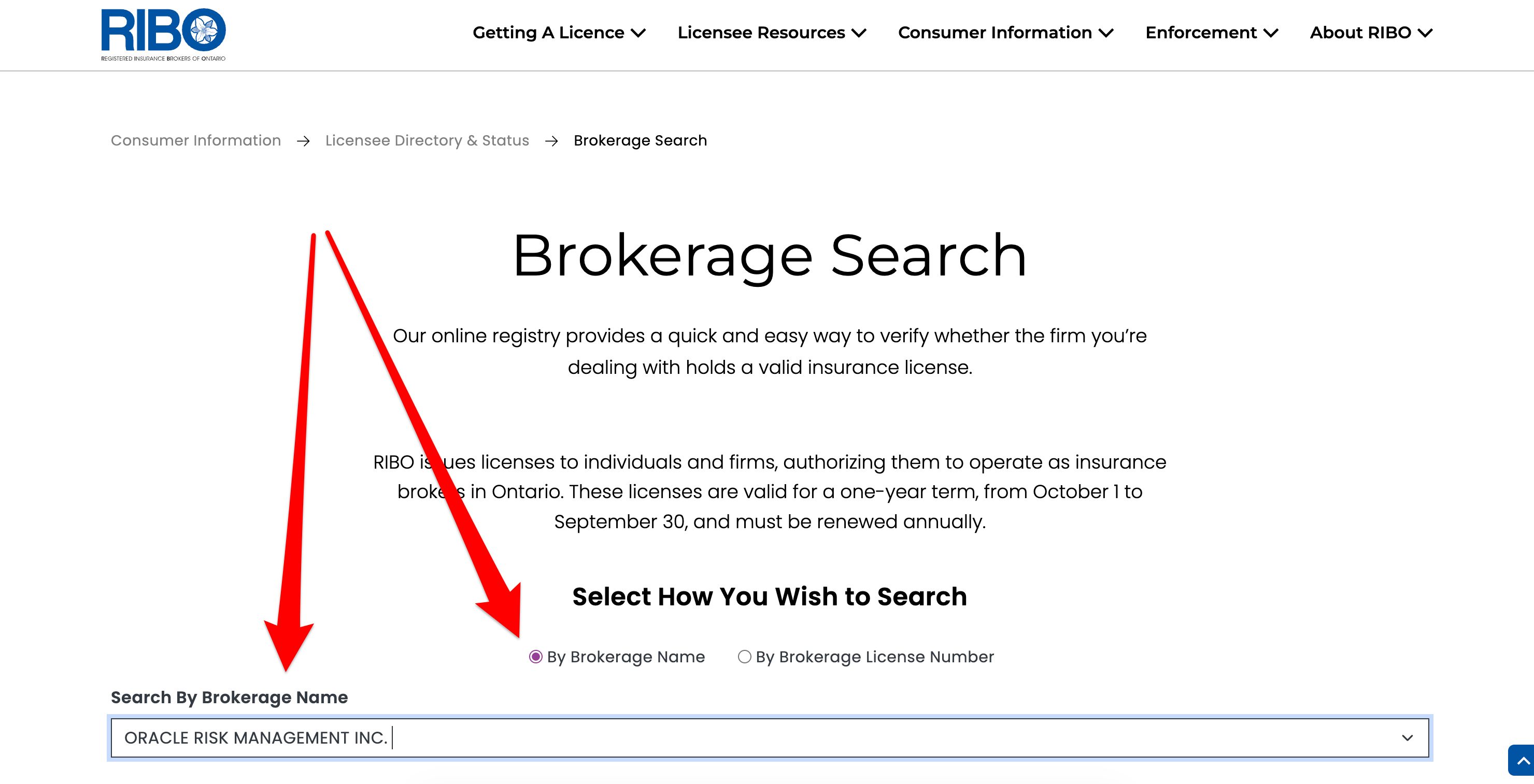 RIBO directory search filtered by brokerage name with Oracle Insurance Risk Management Services in the field