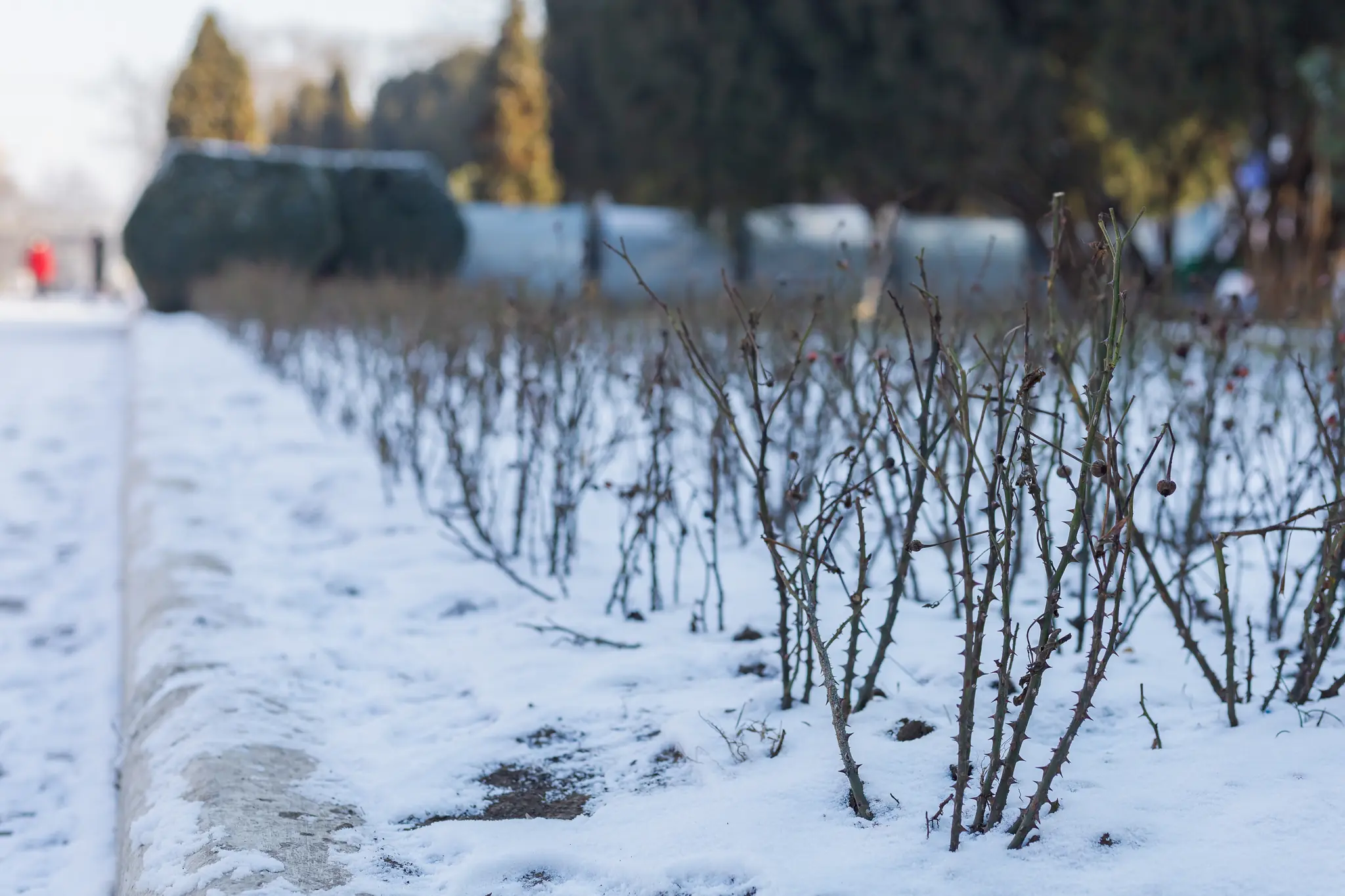 Winterproofing Your Commercial Property in Ontario: 8 Things to Do Before the First Freeze